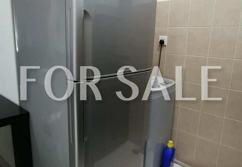 Tropicana City Tropics