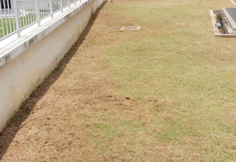 The Banyan II @ Bandar Seri Coalfields