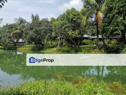 Kuala selangor Ijok agri land 4.1 acres with ponds freehold, Selangor, Kuala Selangor