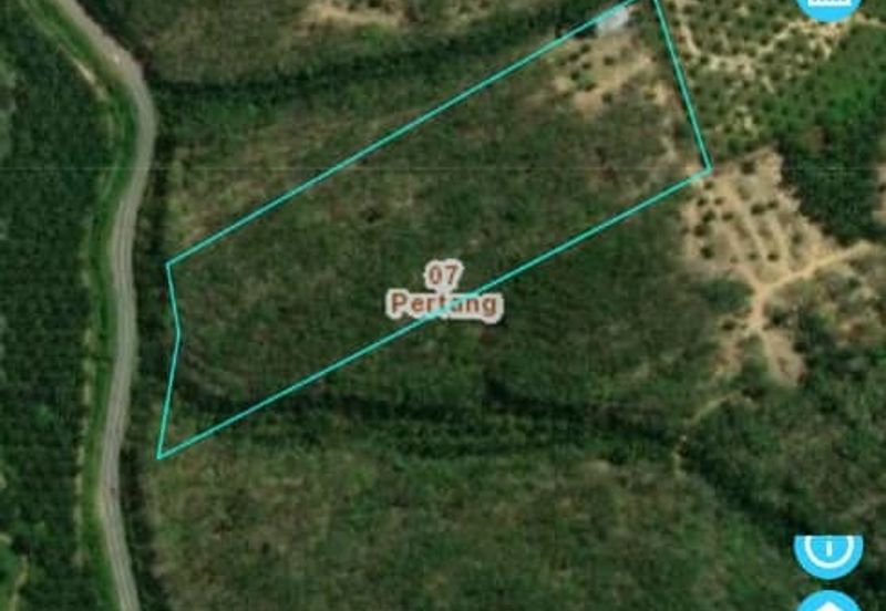 Durian Farm Land for Sale in Simpang Pertang 