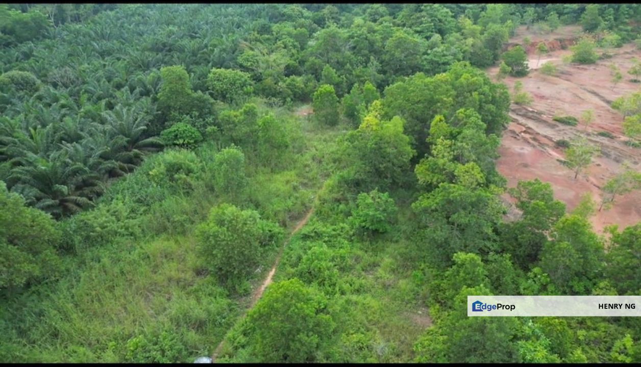 Gurun Agriculture Land For Sale, Kedah, Kuala Muda