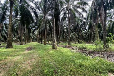Jalan Puteri Jaya - Jalan Sidam Kiri