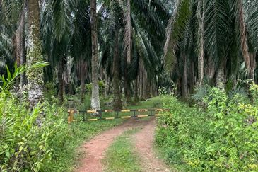 Jalan Puteri Jaya - Jalan Sidam Kiri