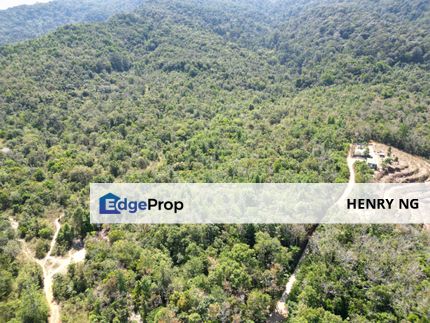 Gurun Agriculture Land For Sale, Kedah, Kuala Muda