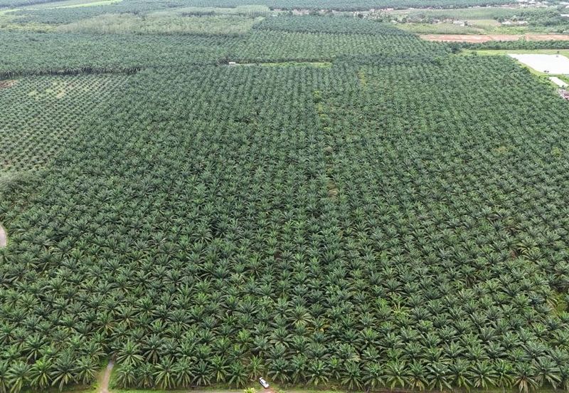 Jalan Pendang-Tanah Merah