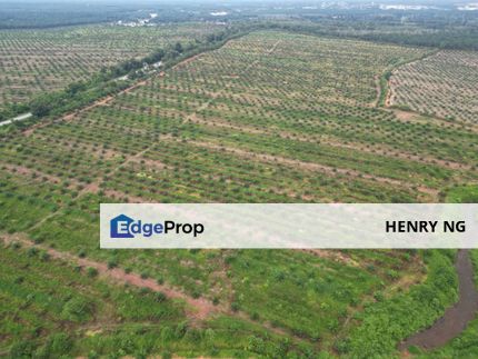 Beside Mainroad Sidam Kiri Agriculture Land For Sale, Kedah, Sungai Petani
