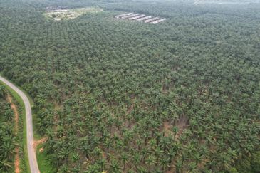 Jalan Puteri Jaya - Jalan Sidam Kiri