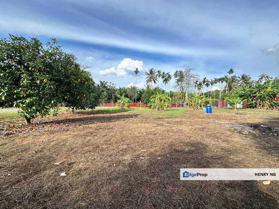Bandar Seri Astana Agriculture Land For Rent, Kedah, Sungai Petani