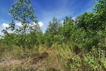 Kawasan Perindustrian Sungai Petani