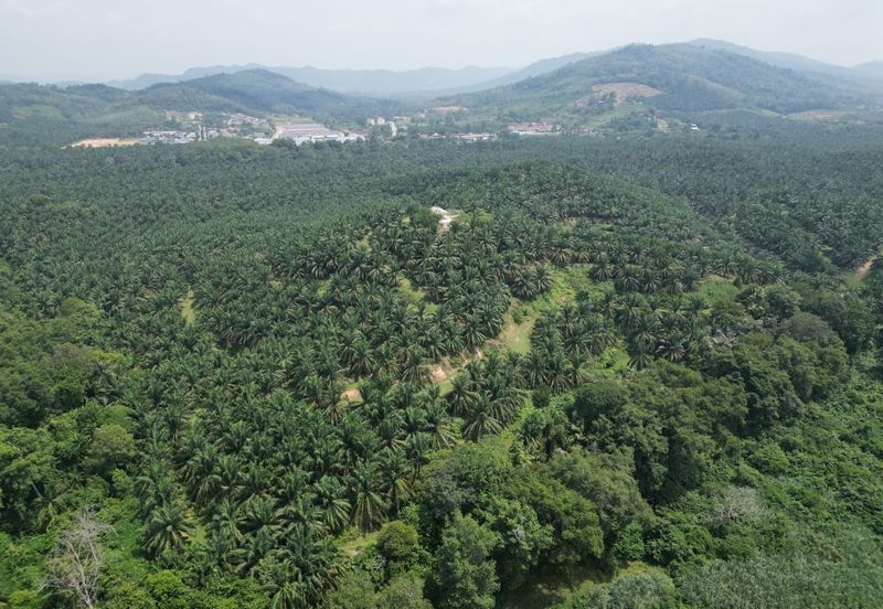 Kawasan Perindustrian Sungai Nal