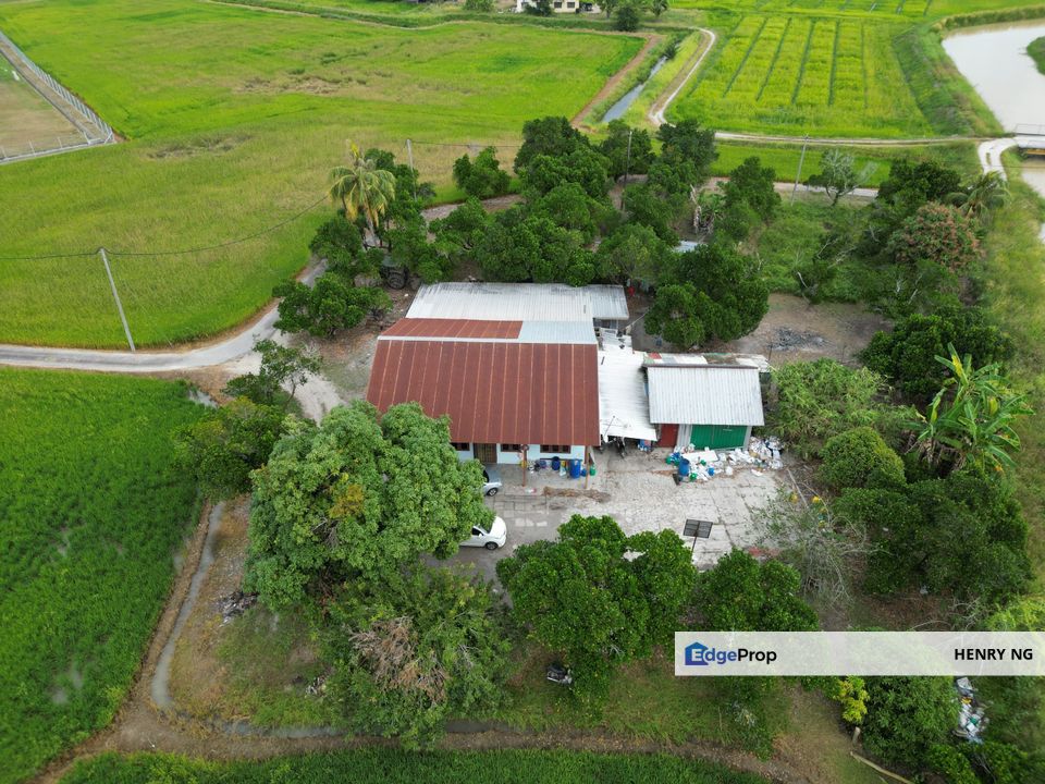 Guar Kepah Bumbong lima First grade land for sale, Penang, Bertam