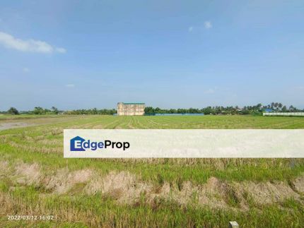 Agriculture Land For Sale Sungai Petani Near Industry Area Kedah, Kedah, Sungai Petani