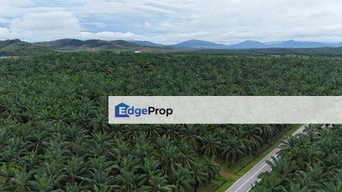 Agriculture Land For Sale @ Sungai Petani Padang Lembu, Kedah, Sungai Petani