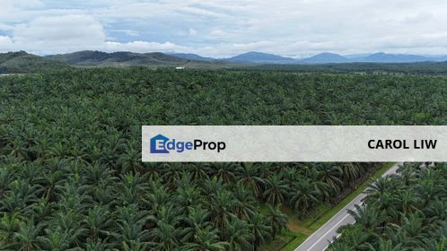 Agriculture Land For Sale @ Sungai Petani Padang Lembu, Kedah, Sungai Petani