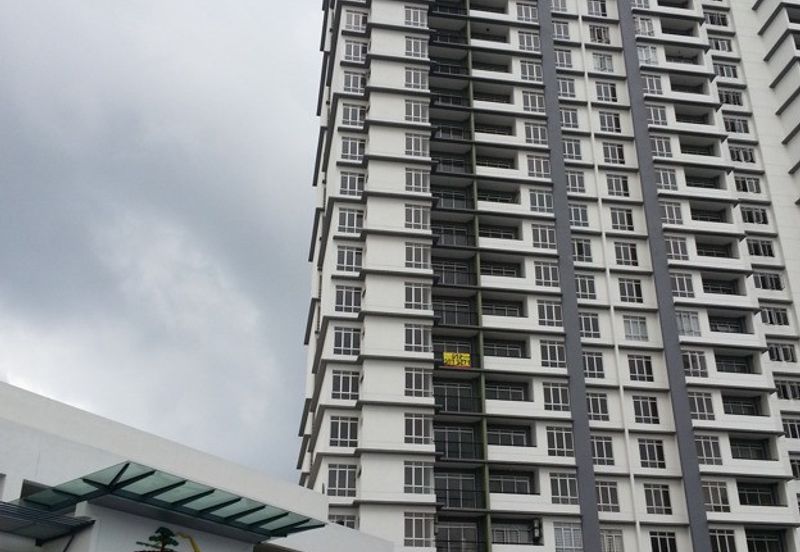 Penaga @ Taman Raintree