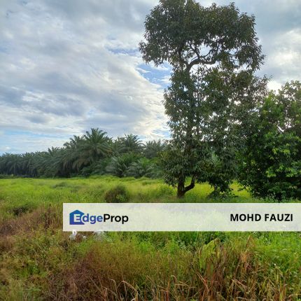 2 Acre Land Near Bukit Gambir PLUS Toll, Johor, Sungai Mati