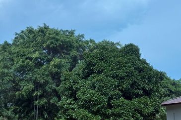 JALAN KLEBANG - TANJUNG KLING