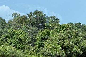 JALAN KLEBANG - TANJUNG KLING