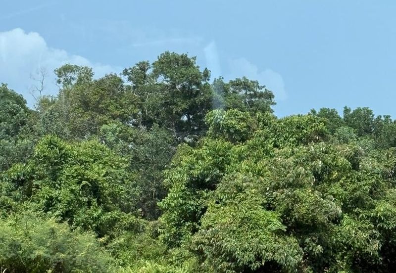 JALAN KLEBANG - TANJUNG KLING