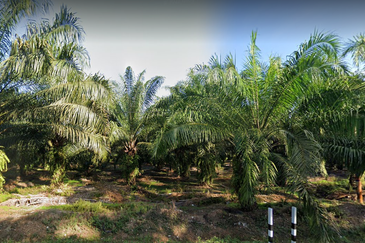 Kampung Sri Cheeding