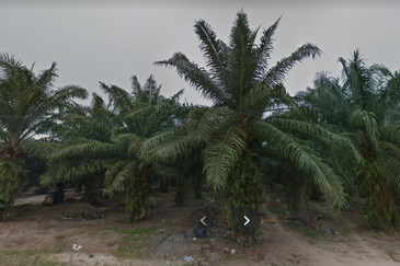 Taman Pahlawan, Telok Panglima Garang