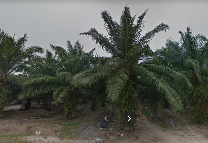 Taman Pahlawan, Telok Panglima Garang