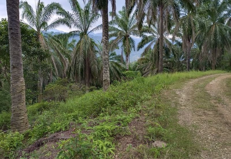Agriculture Land @ Taiping