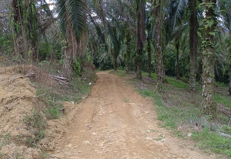 Agriculture Land @ Taiping