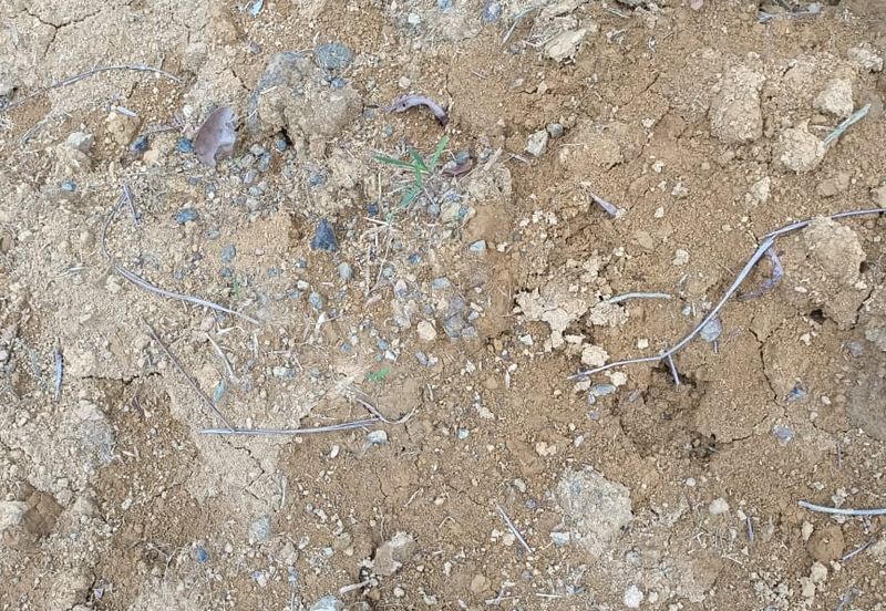 Agriculture Land @ Taiping