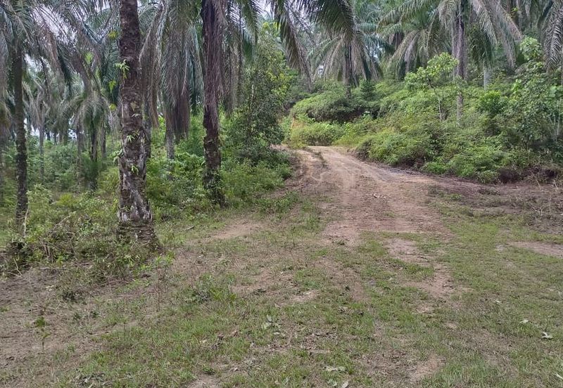 Agriculture Land @ Taiping