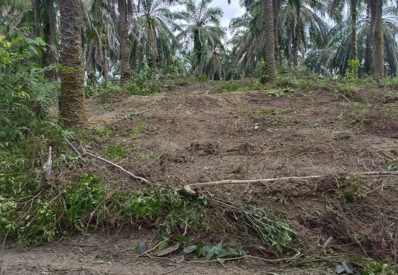 Agriculture Land @ Taiping