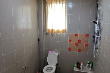 Seri Palma (Botani Palma)