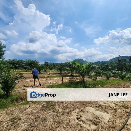 PARIT ROAD - 5 acres - FREEHOLD - TREE -5 / 6 Year , Perak, Parit