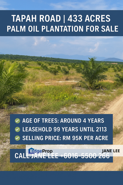 🏞️ TAPAH - 433 Acres Palm Oil Plantation For Sale 🌱 Ready-to-Harvest · Accessible Land · High Growth Potential, Perak, Slim River