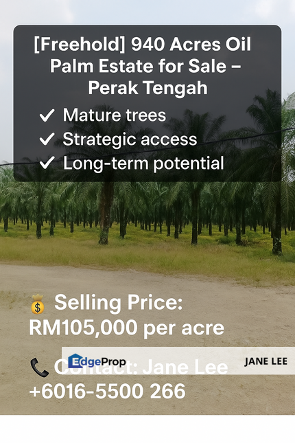 [Freehold] 940 Acres Oil Palm Estate for Sale – Perak Tengah ✅ Mature trees · Strategic access · Long-term potential, Perak, Manjung