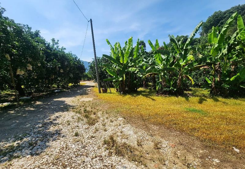 Ampang Baru @ Gunung Rapat