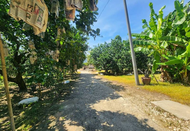 Ampang Baru @ Gunung Rapat