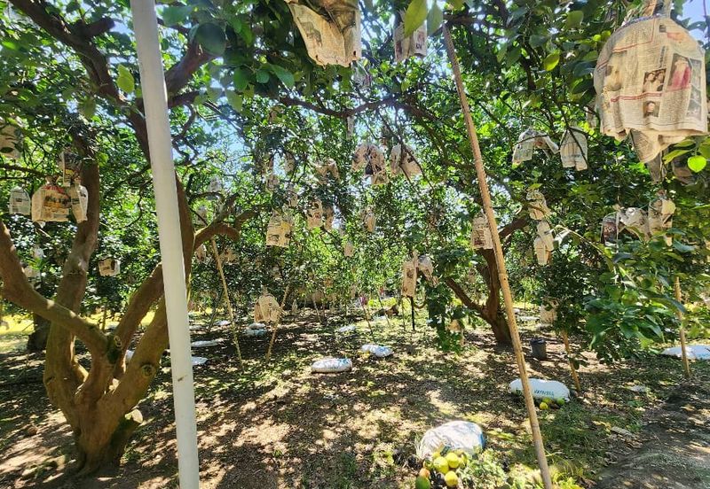 Ampang Baru @ Gunung Rapat