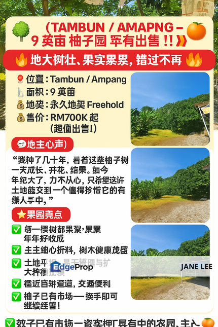 TAMBUN & AMPANG - 9 acres - FREHOLD - LIMAU BALI ( PAMELO ) - FOR SALE, Perak, Ipoh