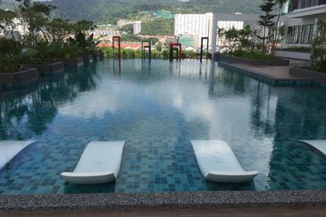 Tree Sparina @ Ideal Vision Park