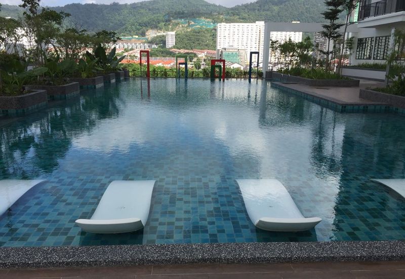 Tree Sparina @ Ideal Vision Park