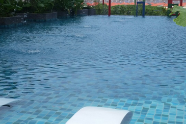 Tree Sparina @ Ideal Vision Park