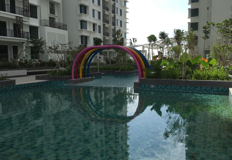 Tree Sparina @ Ideal Vision Park