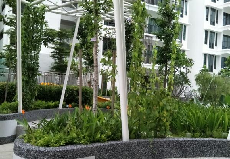 Tree Sparina @ Ideal Vision Park