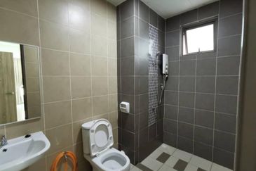 Tree Sparina @ Ideal Vision Park