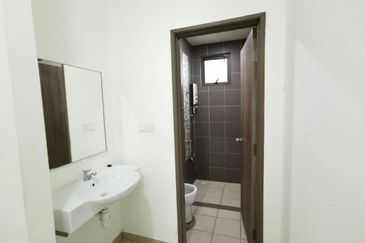 Tree Sparina @ Ideal Vision Park