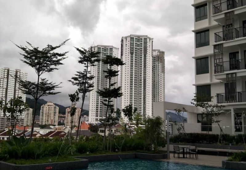 Tree Sparina @ Ideal Vision Park