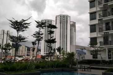 Tree Sparina @ Ideal Vision Park