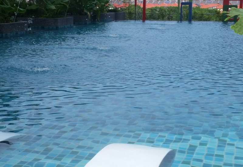 Tree Sparina @ Ideal Vision Park