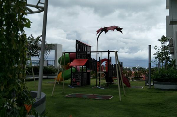 Tree Sparina @ Ideal Vision Park